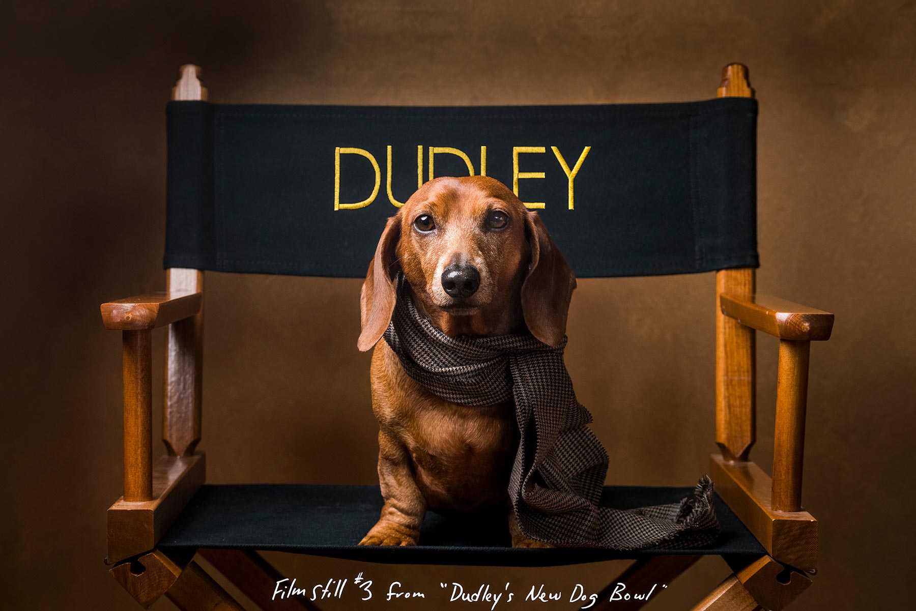 Director-Dudely-1-0016-160330-excopy