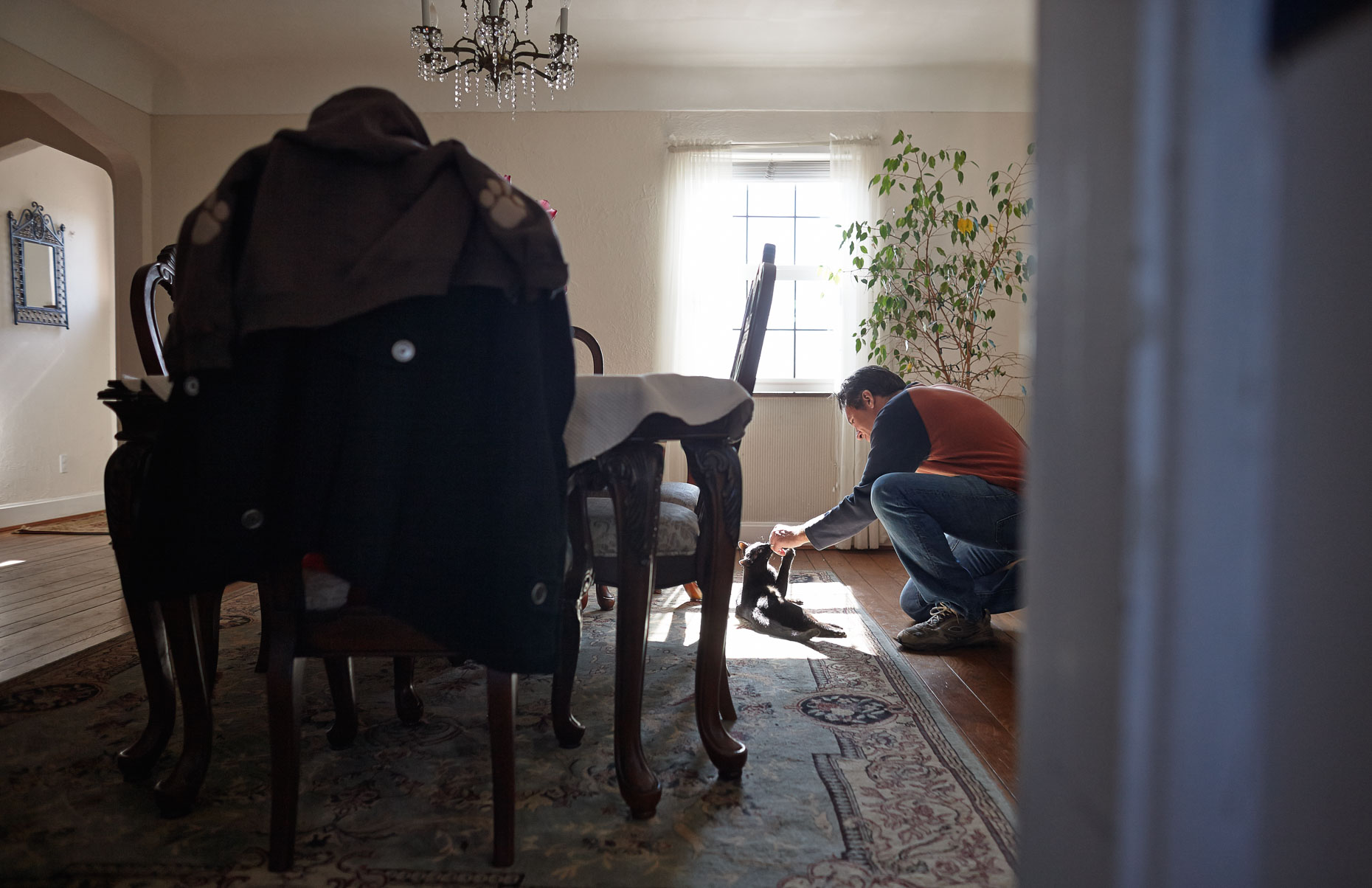 A-man-playing-with-his-cat-in-a-sunbeam